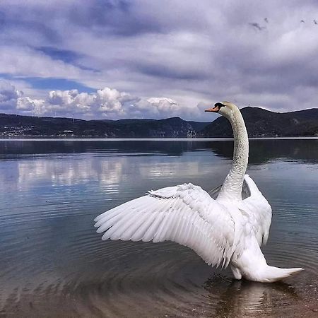 Apartman Bella Vista Golubac Esterno foto