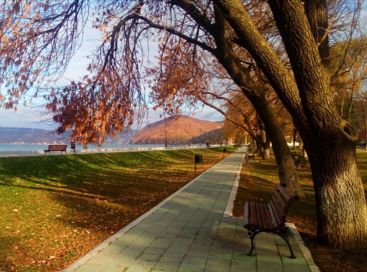 Apartman Bella Vista Golubac Esterno foto
