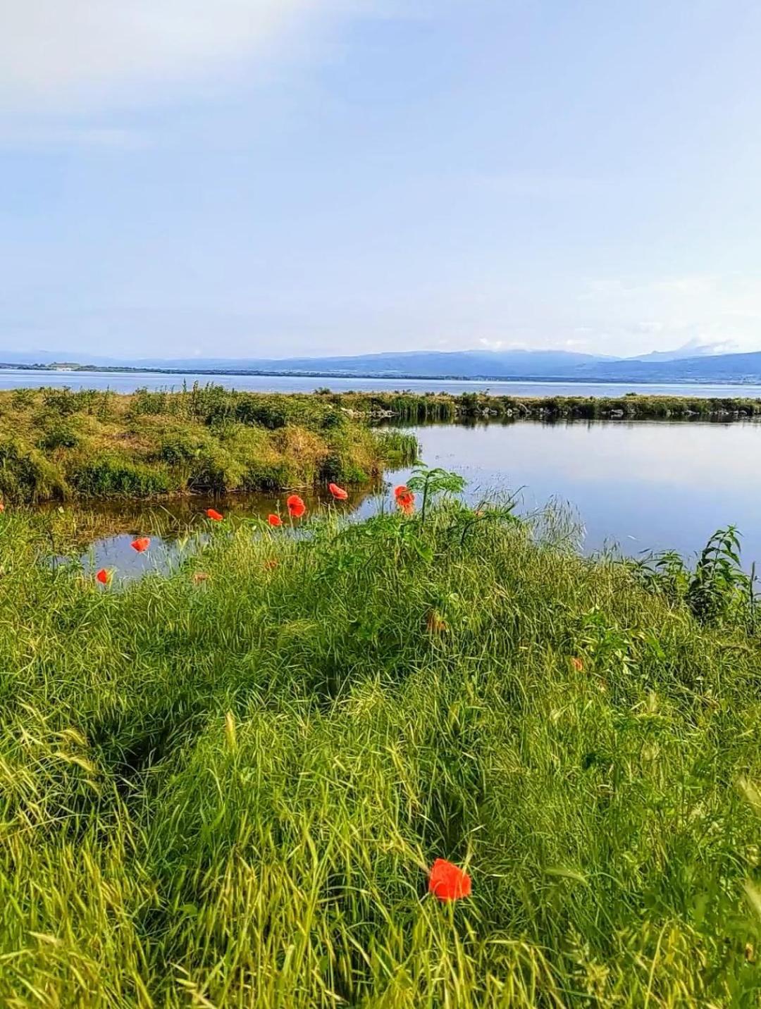 Apartman Bella Vista Golubac Esterno foto