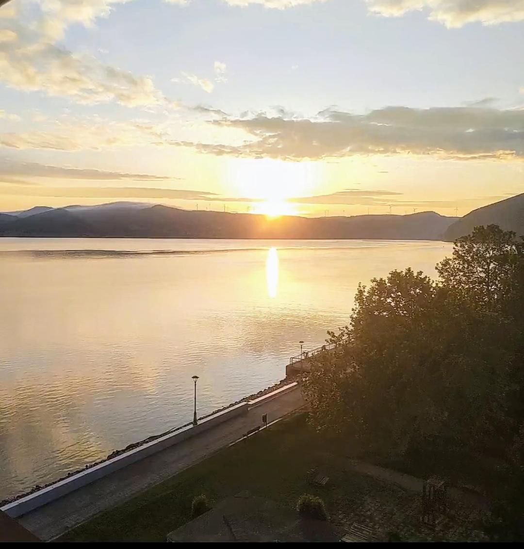 Apartman Bella Vista Golubac Esterno foto