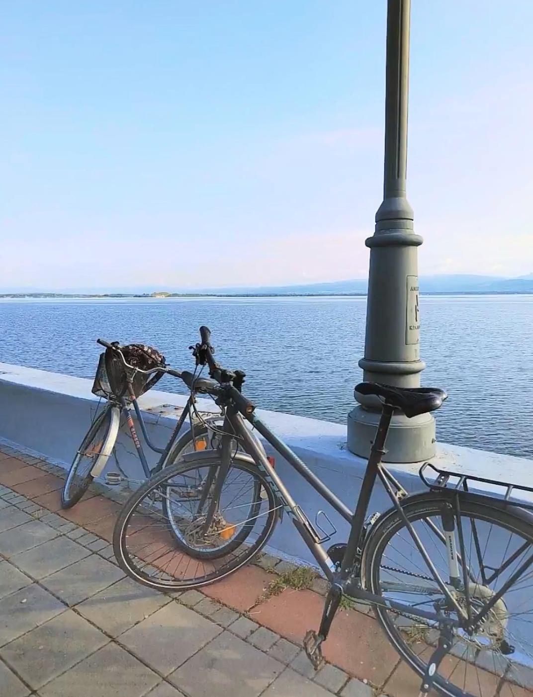 Apartman Bella Vista Golubac Esterno foto