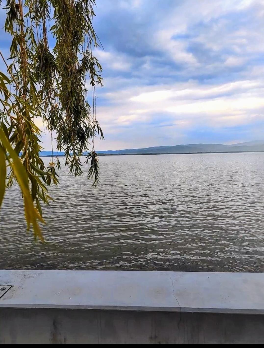 Apartman Bella Vista Golubac Esterno foto